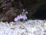 DSC00446.JPG