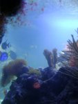DSC00465.JPG