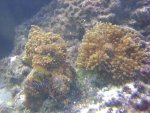 DSC00470.JPG