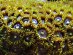 DSC01845.JPG