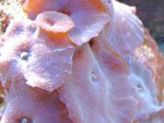 DSC01850.JPG
