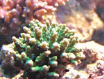 DSC01863.JPG