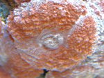 DSC01880.JPG