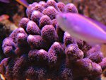 DSC01966.JPG