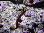 DSC00478.JPG