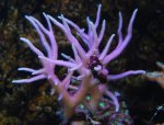 DSC_0751.JPG