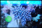 DSC_0968.JPG