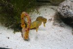IMG_2172 - Copy.JPG