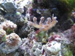 Img_0202.jpg