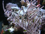 Img_0203.jpg