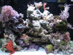 Img_0207.jpg