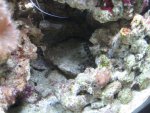 Img_0276.jpg