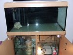 DSCF1153.JPG