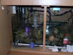 DSCF1156.JPG