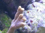 IMG_0546.JPG