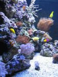IMG_0578.JPG