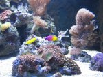 IMG_0563.JPG