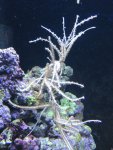 IMG_0567.JPG
