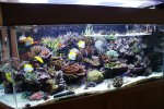DSC01101.JPG