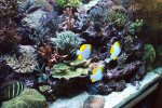 DSC01084.JPG