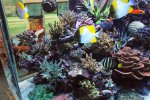 DSC01080.JPG