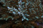 DSC01145.JPG