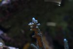 DSC01152.JPG