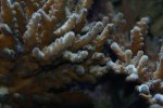DSC01157.JPG