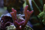 DSC01164.JPG
