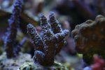 DSC01165.JPG