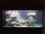 DSCF1157.JPG
