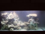 DSCF1158.JPG