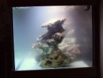 DSCF1159.JPG