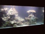 DSCF1160.JPG