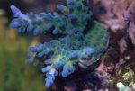 DSC01213.jpg