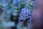 DSC01215.jpg