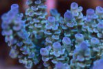DSC01216.jpg