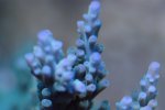 DSC01223.JPG