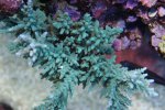 DSC01236.JPG
