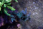 DSC01250.jpg