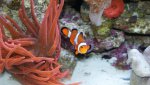 Dsc00028.jpg