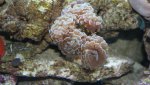 Dsc00029.jpg