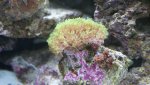 Dsc00043.jpg