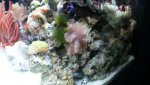 Dsc00046.jpg