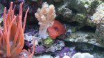 Dsc00058.jpg