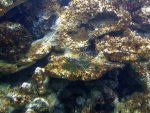 DSCF1193.JPG