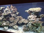 DSCF1198.JPG