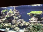 DSCF1199.JPG