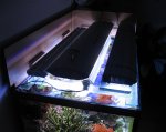 aquarium jan 2009 003.JPG