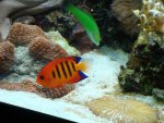 DSC02066.JPG